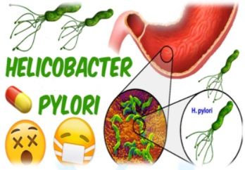 benh-viem-loet-da-day-do-helicobacter-pylori-hp